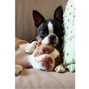 Meet your Posher, Zuleyka